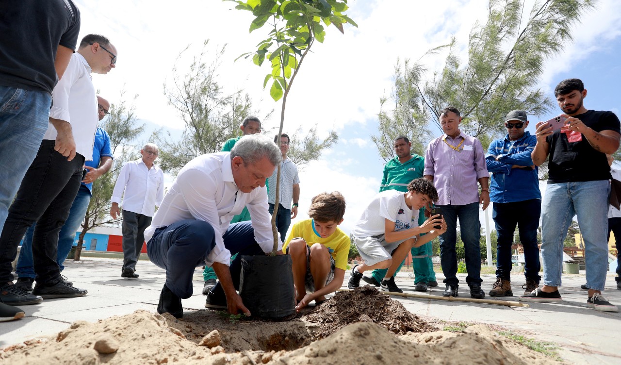prefeito planta uma muda de árvore